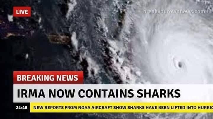“Irma Now Contains Sharks”